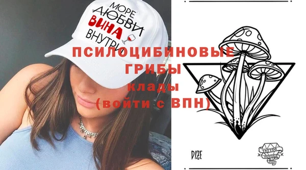 apvp Нея