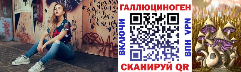 Псилоцибиновые грибы прущие грибы  Купить  Тихорецк 